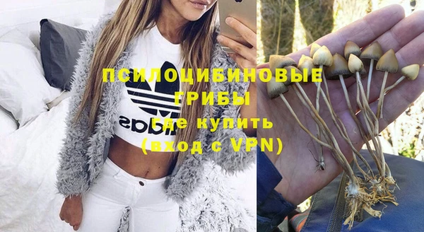 гашиш Аркадак