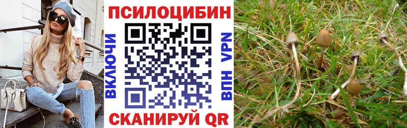Галлюциногенные грибы Psilocybine cubensis MEGA вход Малоархангельск