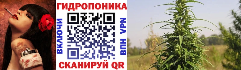 Шишки марихуана MAZAR  Малоархангельск 